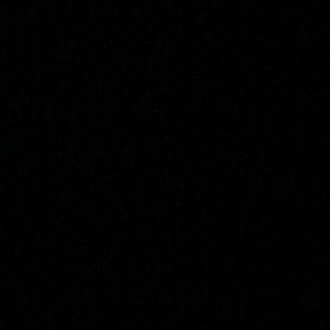 Meet your Posher, Sebastian